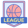 Sports league